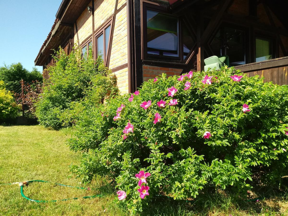 Natura Apartamenty Swaderki Exteriör bild
