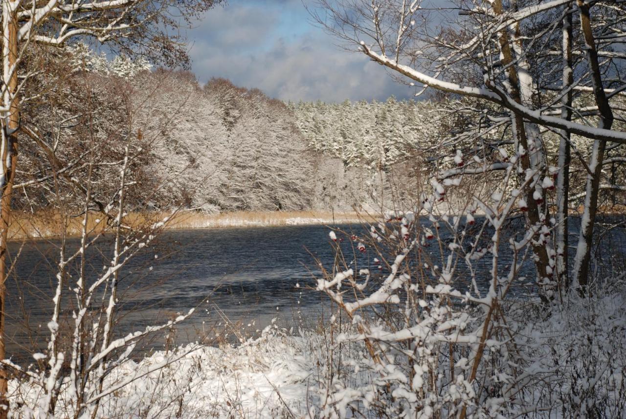 Natura Apartamenty Swaderki Exteriör bild